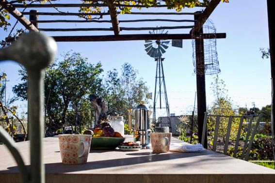 هتل الوو گراو هاوس - Olive Grove House