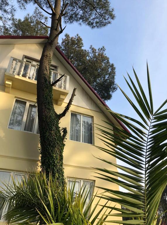 هتل کاپروانی ولا 22 Kaprovani Villa 22