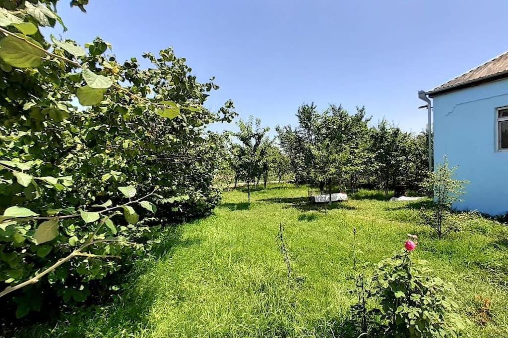 هتل قوبا شهری حیات اوی Quba şəhəri Həyət evi