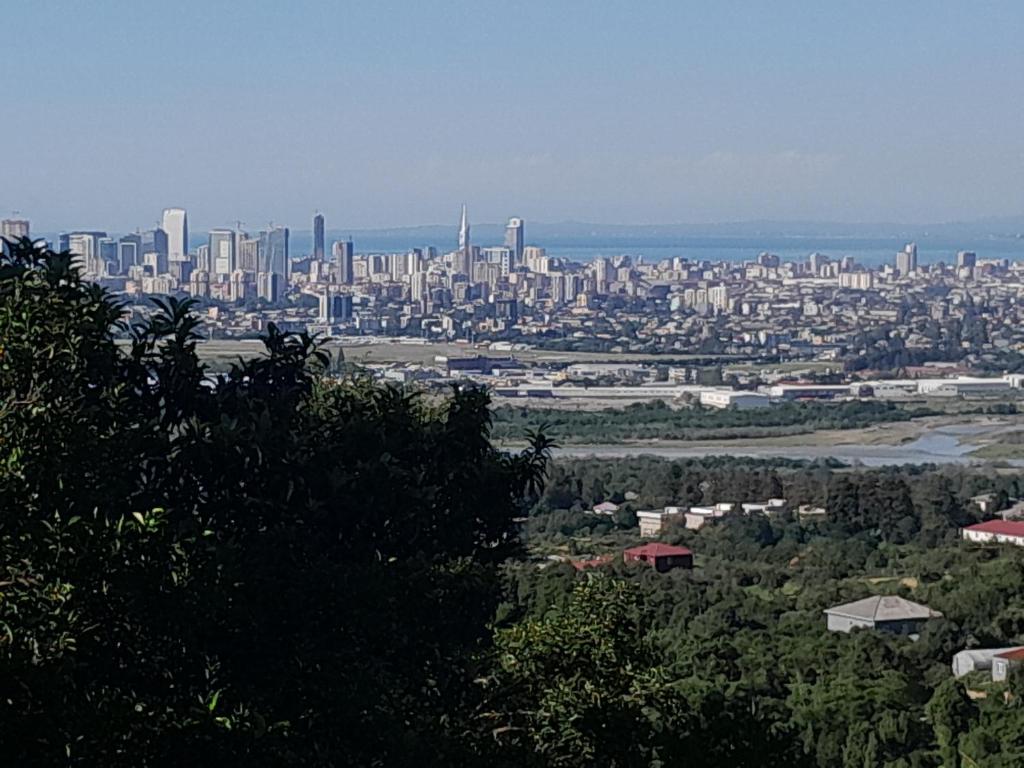 هتل دام - Дом
