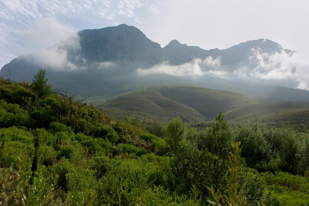 Golden Hill Guest House