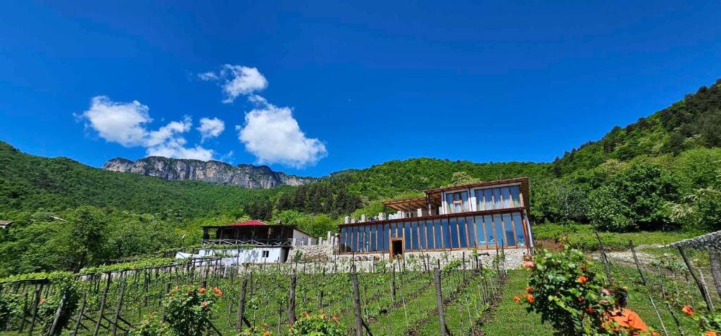 هتل کرنی شولی ورندا واینهوتل 40 کیلومتر فرام تساجری Korenishuli Veranda Wine Hotel 40 km from Tsageri