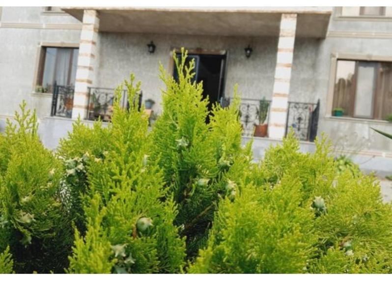 هتل ویلا چاکوی - vila chakvi