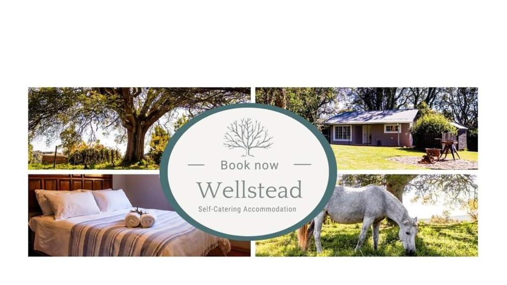 هتل ولستد کانتری منور Wellstead Country Manor