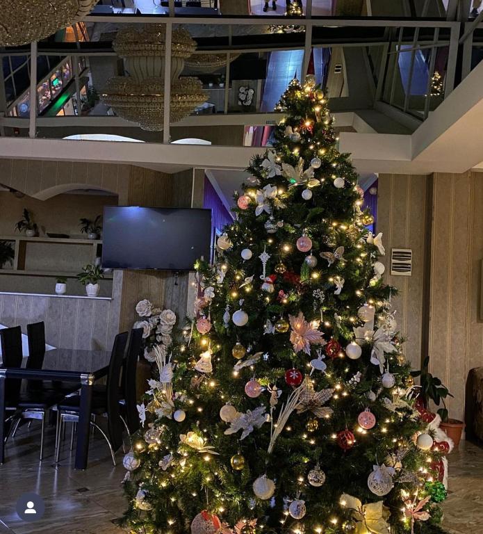 هتل اوکریبا تفلیس Hotel Okriba Tbilisi