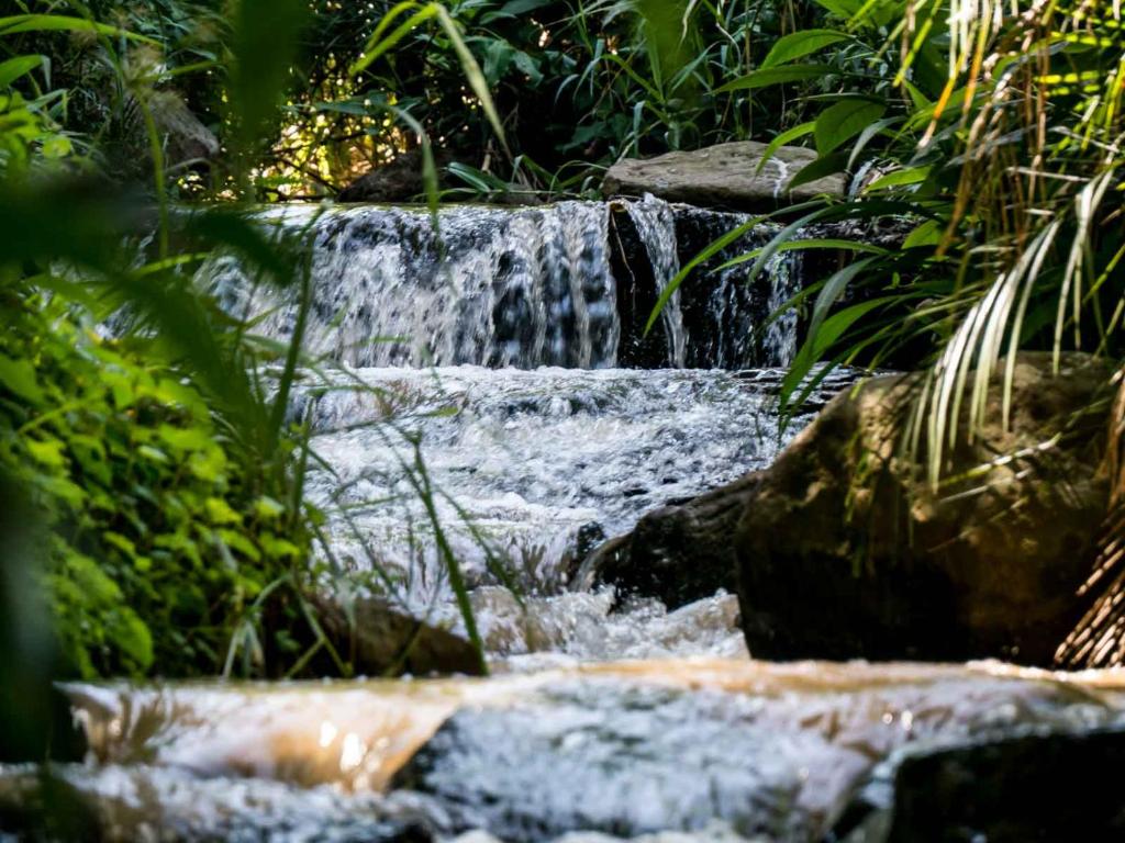 هتل افریکاز ایدن گس هاوس Africa's Eden Guesthouse
