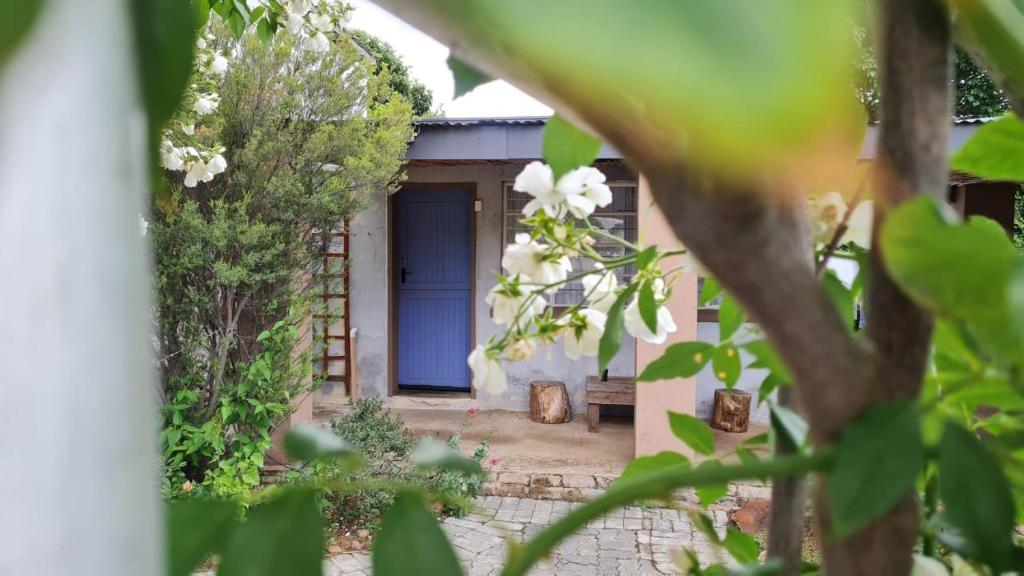 هتل لاوندر بلو گست هاوس Lavender Blue Guesthouse