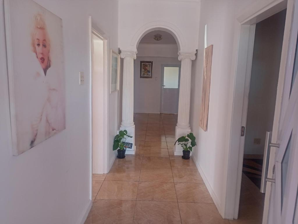 هتل اکسوتیکا گست هاوس گودوود exotica guest house goodwood