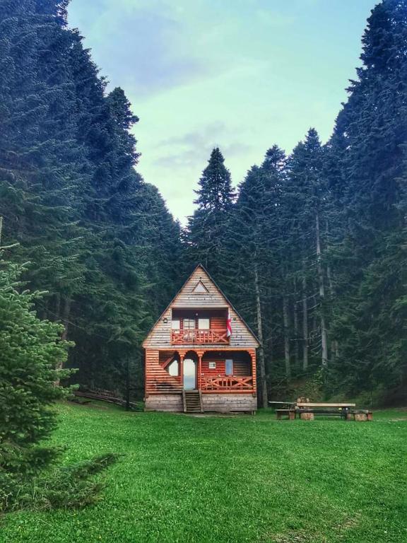 هتل کاتج سوچی Cottage Sochi