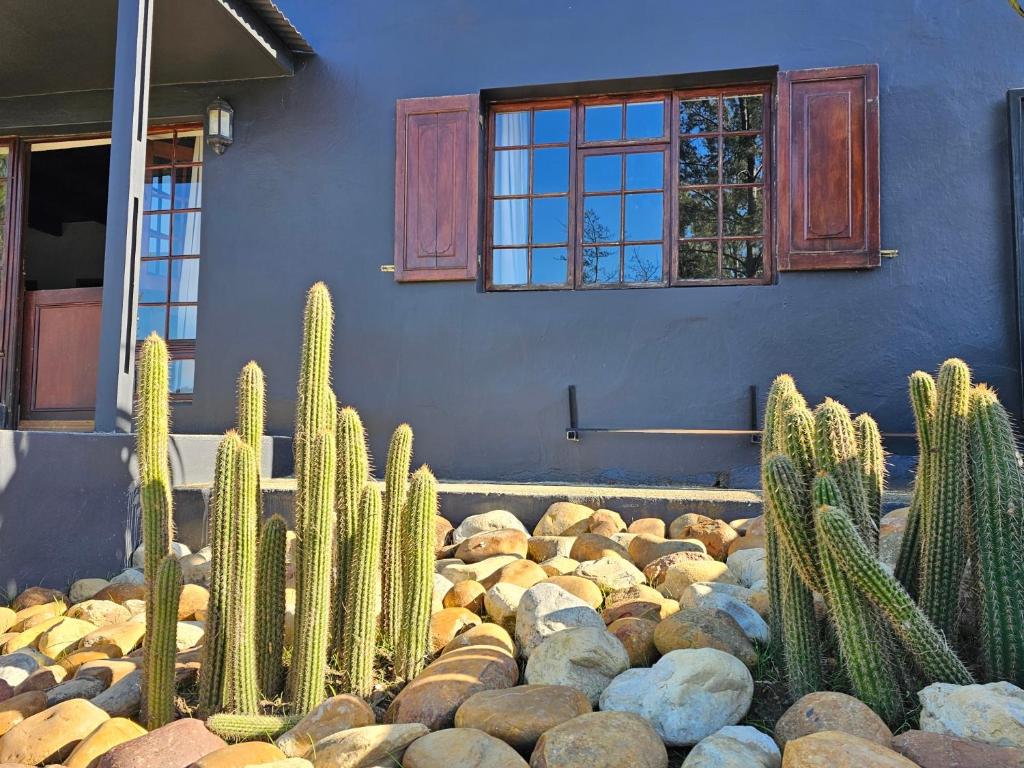 هتل ذا ریتریت سوئلندم The Retreat Swellendam