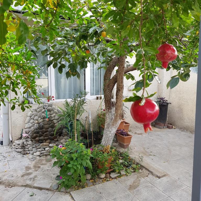 هتل سامر گاردن Summer Garden
