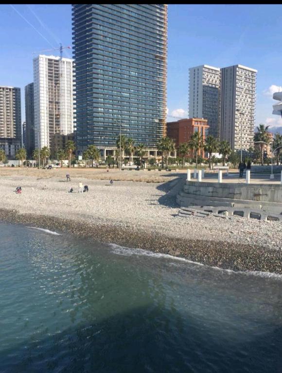 هتل باتومی آپارتمانز - Batumi apartments