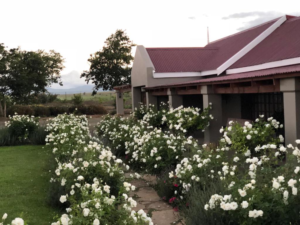 هتل ماونت ویو کانتری گست هاوس Mountain View Country Guest House