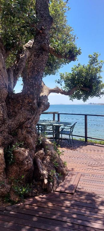 هتل دریفت وود بیچ ویلا Driftwood Beach Villa