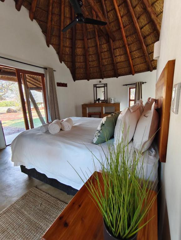 هتل میلک‌وود ولی لوژ، مابالینگوے - Milkwood Valley Lodge, Mabalingwe