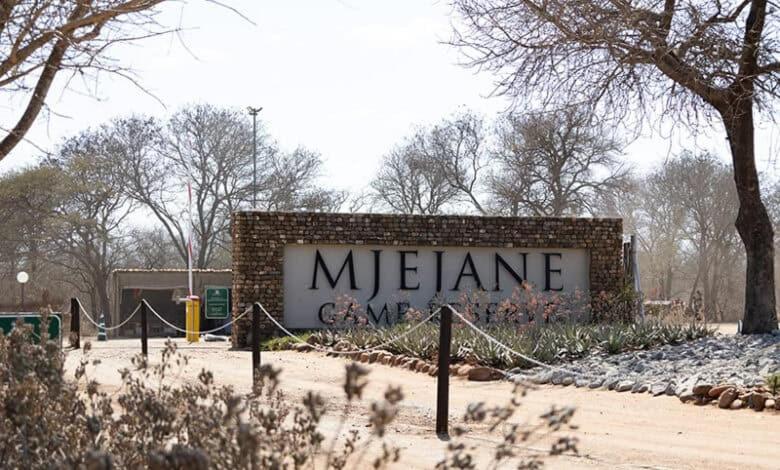 هتل مژجان بوش لاج Mjejane Bush Lodge