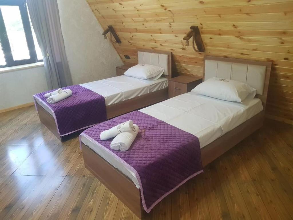 هتل قفقاز این شالهت Qafqaz Ein Chalet