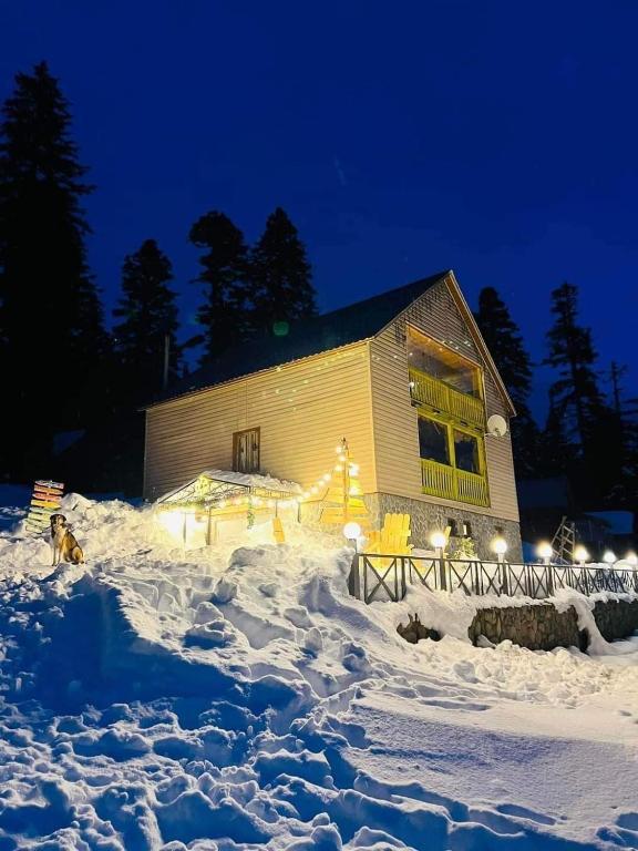 هتل کوتجی باخماروشی وودن هاوس سانrise კოტეჯი ბახმაროში woodenhouse Sunrise
