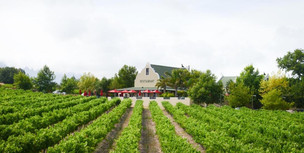 هتل اسکیلپادولی واین فارم Skilpadvlei Wine Farm