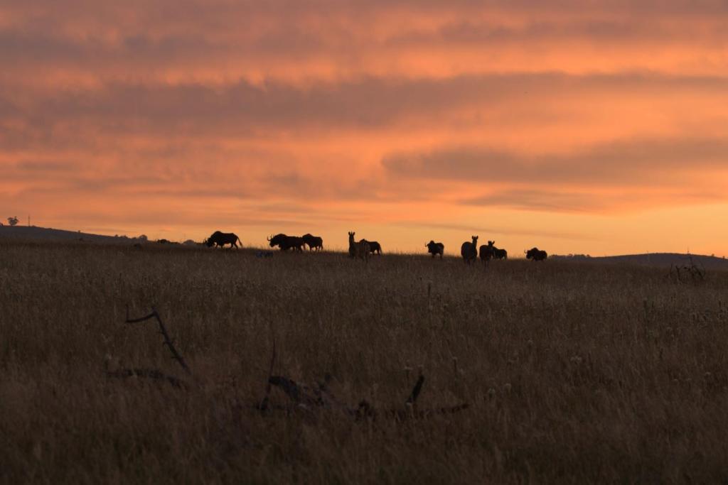Wild Clover Cottages