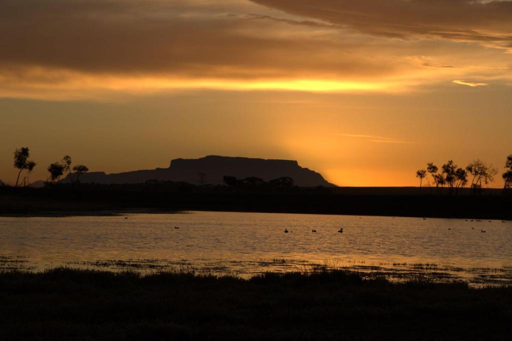 Wild Clover Cottages