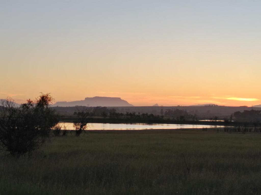 Wild Clover Cottages