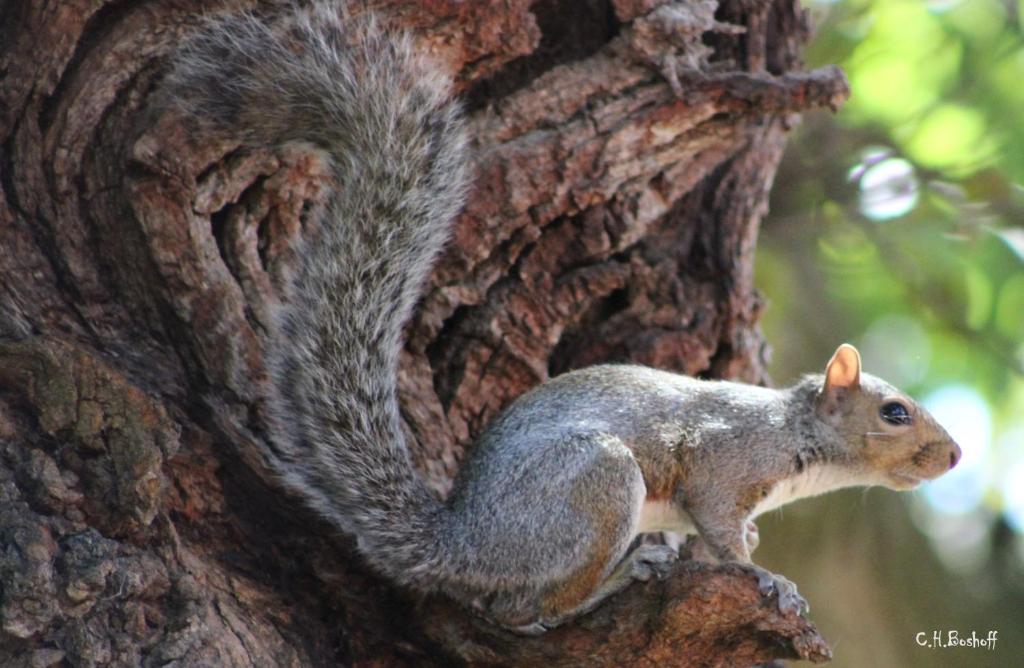 Vredenburg Manor House