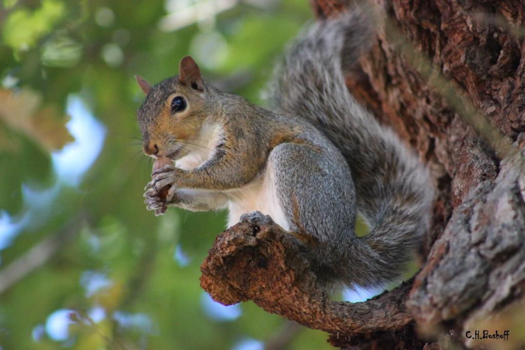 Vredenburg Manor House