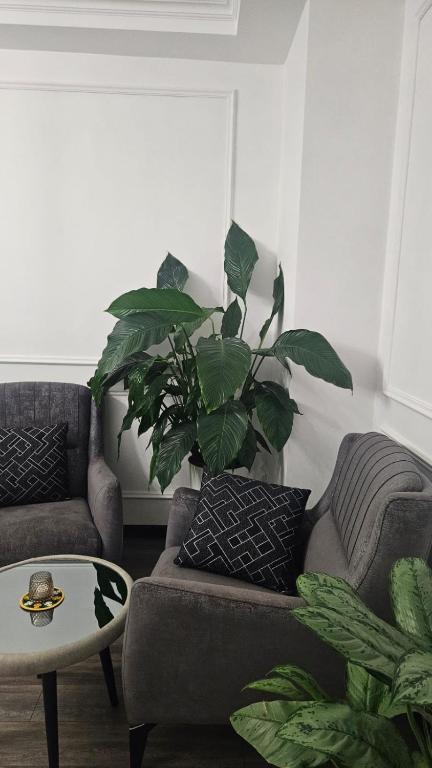 هتل آپارتمنت - Apartment