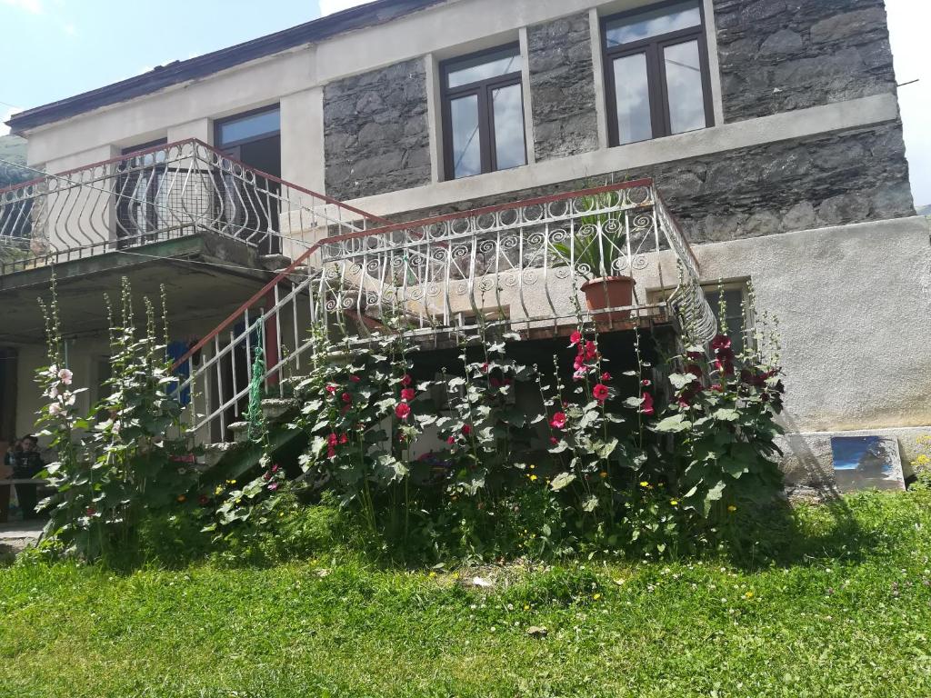 هتل راکی آیلند Rocky Island