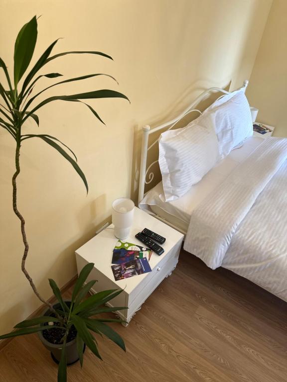 هتل گرین تونی ک هاستل Green ToniC Hostel