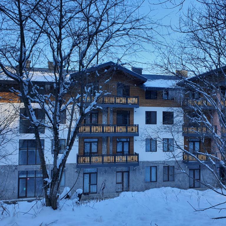 هتل باکوریانی دیدولی رزی dent f 42 - bakuriani didveli residence f 42