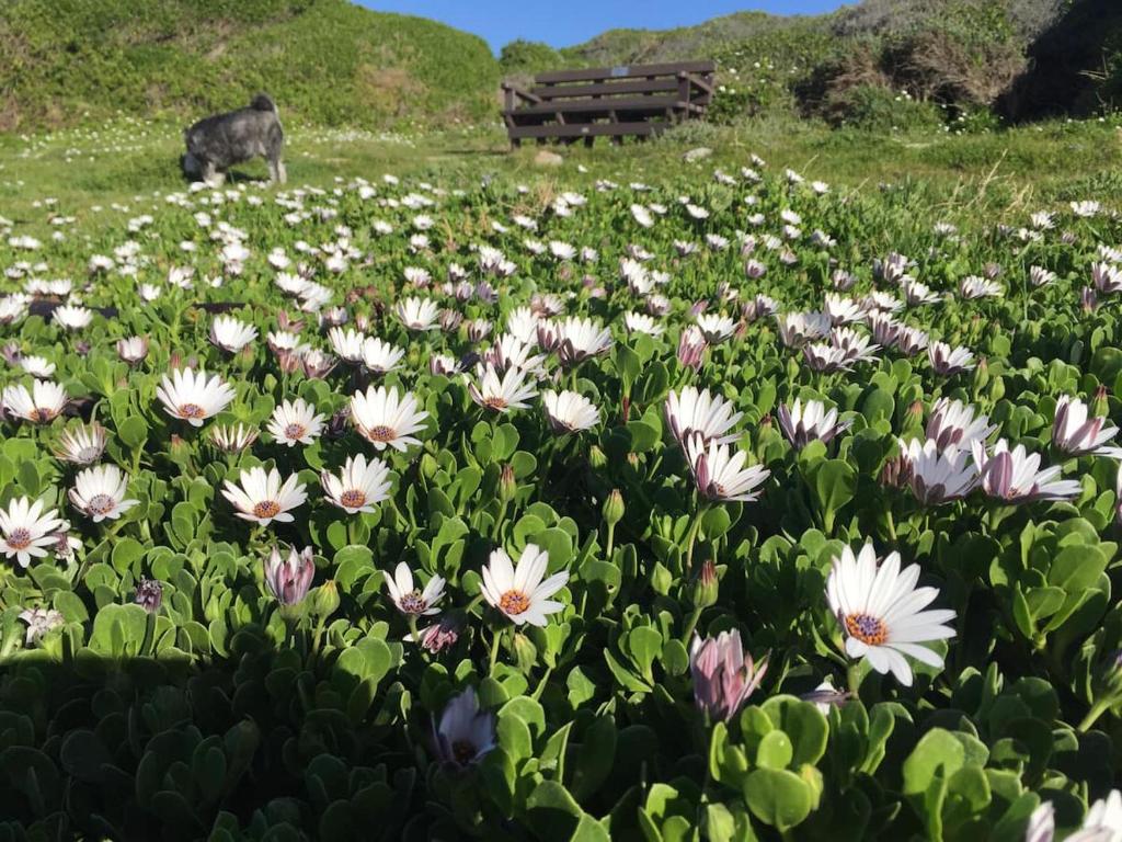 Renovated Fishermans Cottage