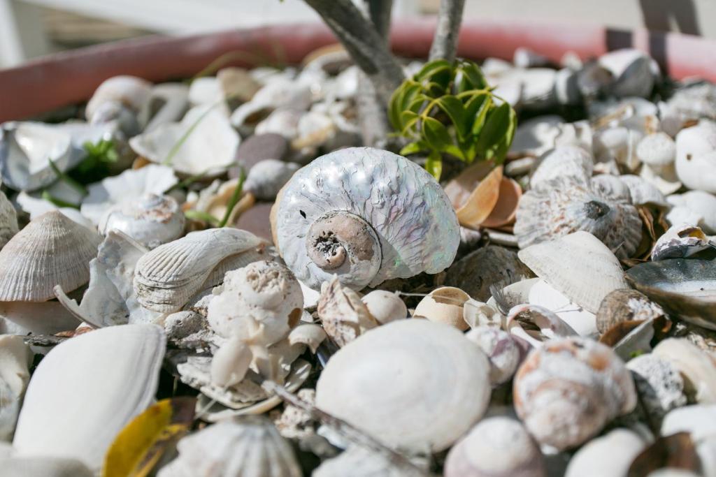 Renovated Fishermans Cottage
