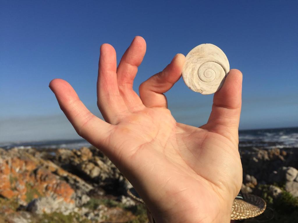 Renovated Fishermans Cottage