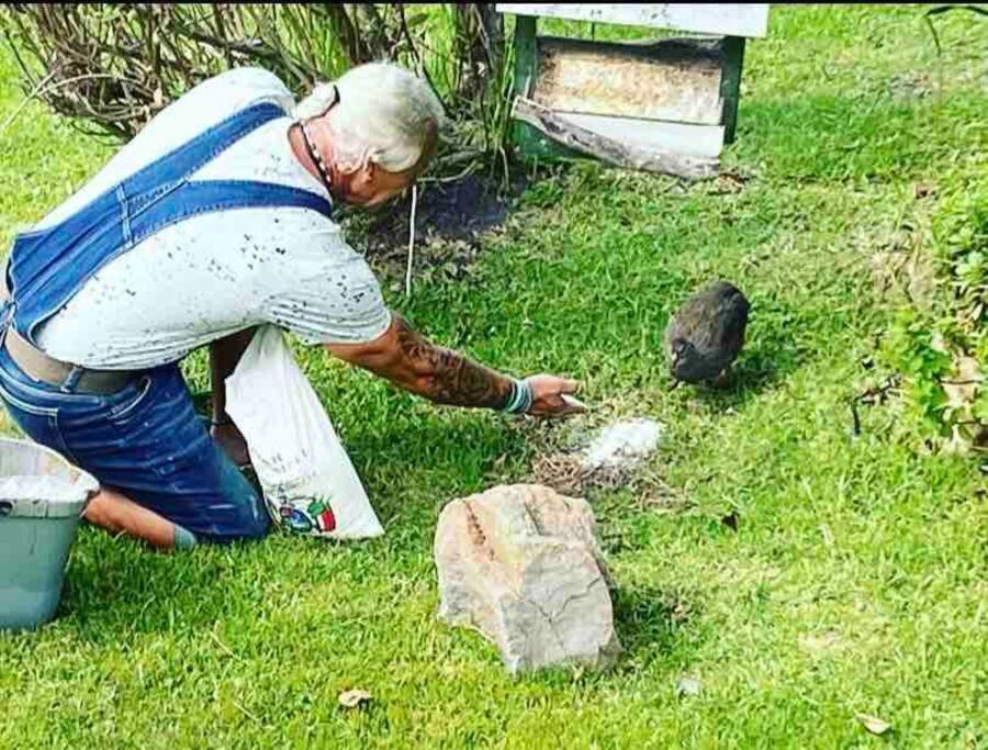 Hermanus Whale Capital - Lagoon & Sea view