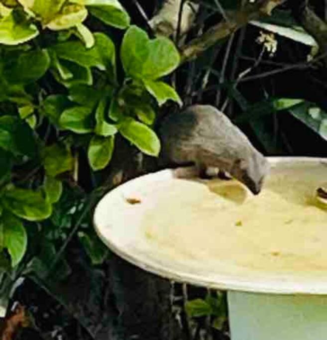 Hermanus Whale Capital - Lagoon & Sea view