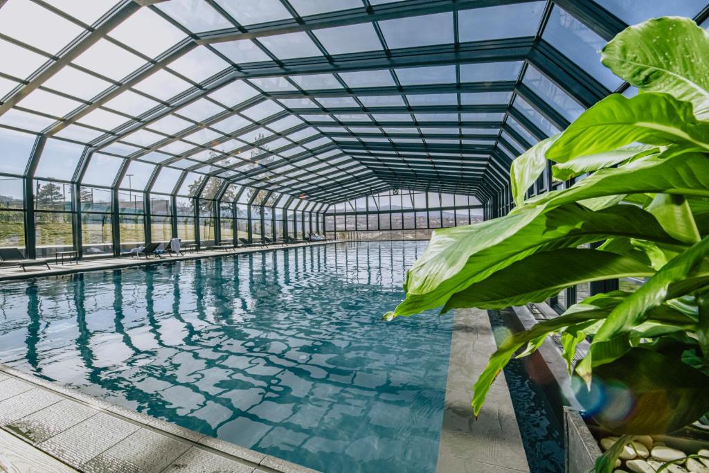 پارک هتل تسی نان داری استیت Park Hotel Tsinandali Estate