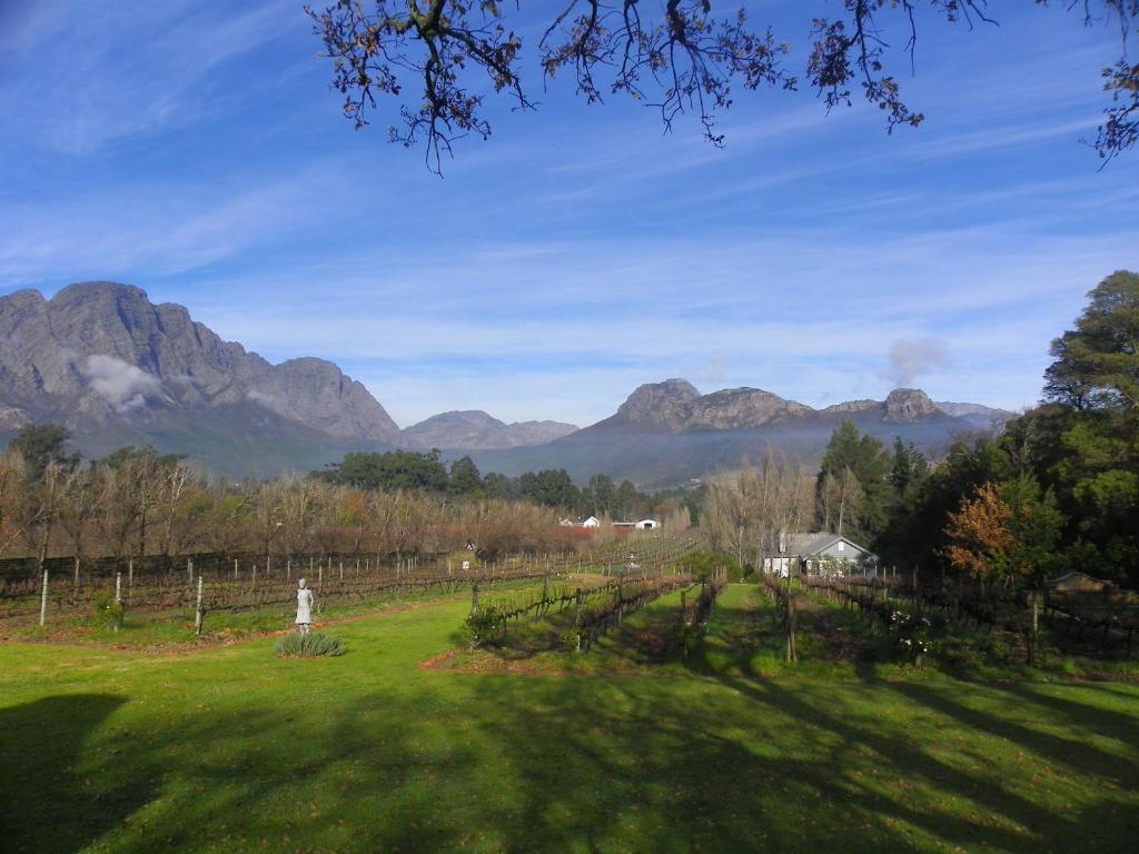 هتل فرانشوک رز کاتجز Franschhoek Rose Cottages