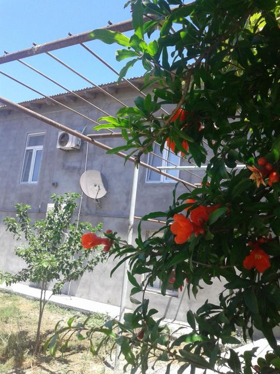 هتل گست هاوس نیر باکو ایسپورٹ - Guest house near Baku airport
