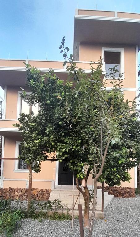 هتل کیوتزر گست هاوس QEZUTAER Guest house