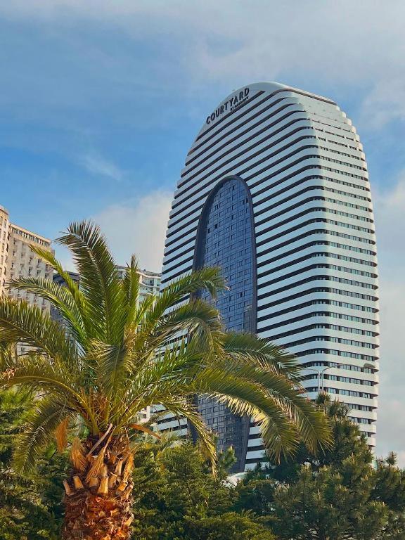 هتل الیانس پالاس باتومی - Alliance Palace Batumi