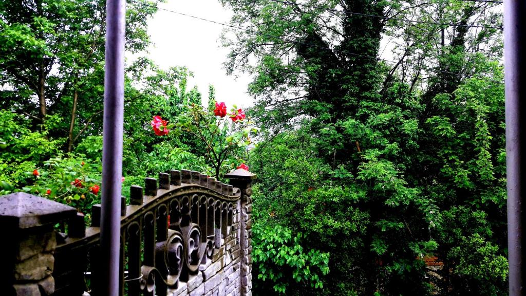 هتل گست هاوس رُما Guest House ROMA