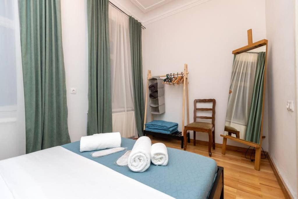 هتل اوپرا هاوس 2BR آپت ویت تفلیس چرم - بای وی هُست - Opera House 2BR Apt with Tbilisi Charm - By Wehost