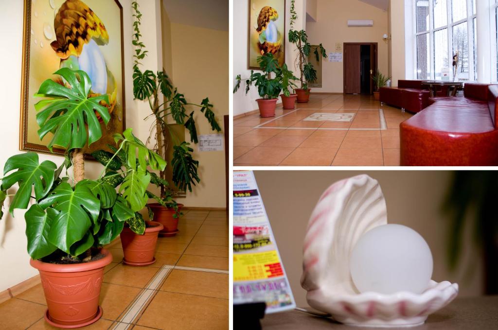 Zhemchuzhina Hotel