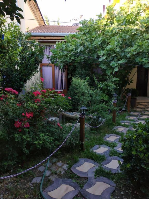 هتل سیم-سیم هاستل اند بک‌پکرز یوسف استیل Sim-Sim Hostel & Backpackers Yousef Steel