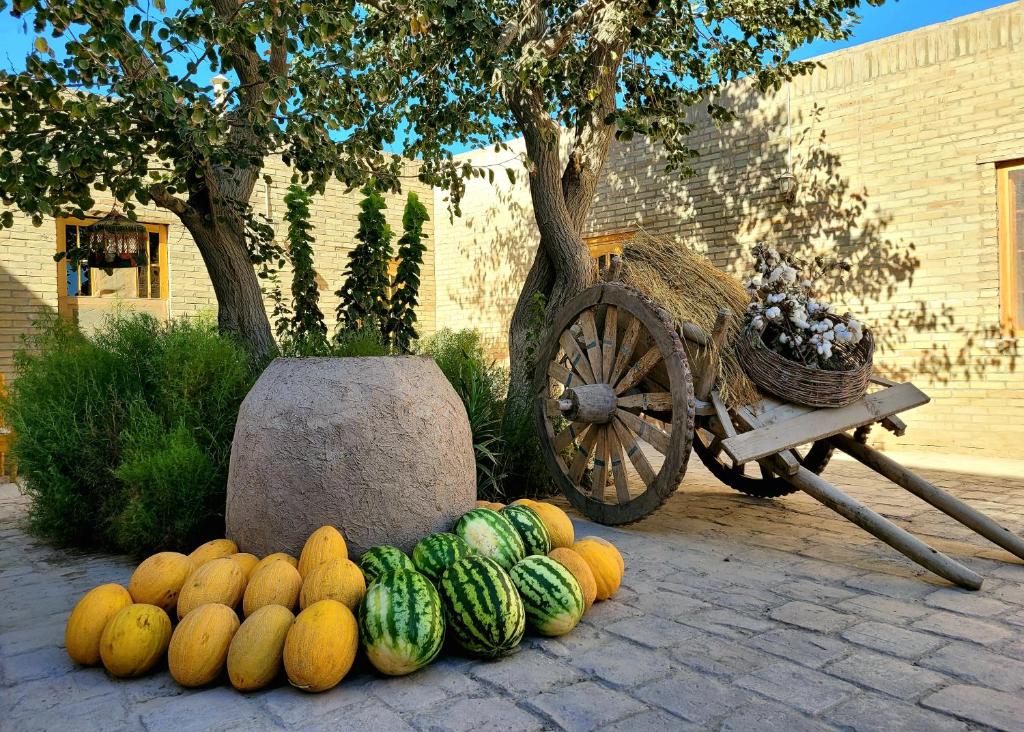 هتل madrasah Polvon-Qori boutique hotel (Hotel), Khiva (Uzbekistan) Deals