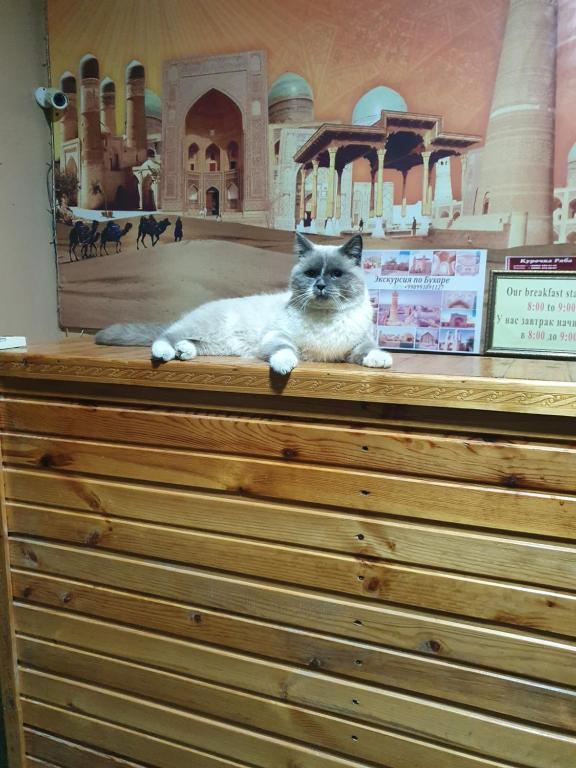 Hotel Ravshan Boutique