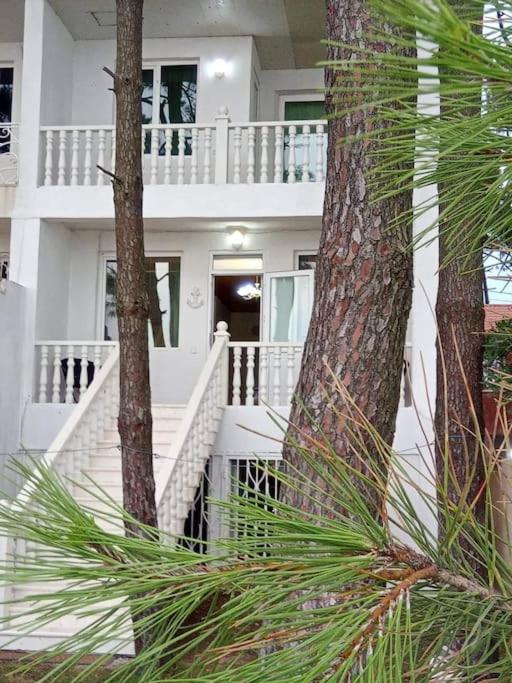 هتل سوتلند بیچ هاوس Svetland beach house
