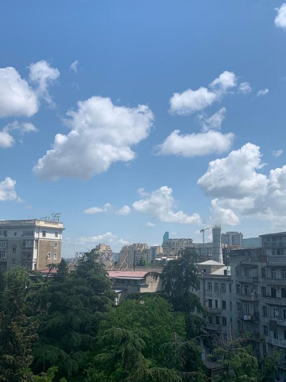 هتل آپارتمان این د هارت آف تبیلیسی - Apartment in the Heart of Tbilisi